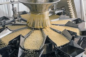 Automated food factory make fresh pasta, studio shot